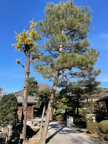 清亮寺(東京都)