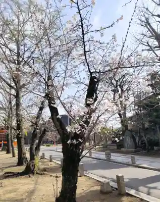 葛飾八幡宮の{uncategorized: "未分類", other: "その他", undefined: "問題あり", building: "その他建物", grave: "お墓", sacred_gate: "鳥居", guardian: "狛犬", statue: "像", buddha: "仏像", history: "歴史", nature: "自然", garden: "庭園", animal: "動物", pagoda: "塔", temizu: "手水舎", mountain_gate: "山門・神門", sanctuary: "本殿・本堂", subordinate: "末社・摂社", art: "芸術", scenery: "景色", jizo: "地蔵", ema: "絵馬", goshuin: "御朱印", omikuji: "おみくじ", items: "授与品その他", amulet: "お守り", goshuincho: "御朱印帳", eats: "食事", festival: "お祭り", votive_dance: "神楽", shichigosan: "七五三参", wedding: "結婚式", experience: "体験その他", initially: "初詣", around: "周辺", anti_infection: "感染症対策"}