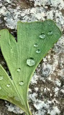 谷口山野稲荷神社(神奈川県)