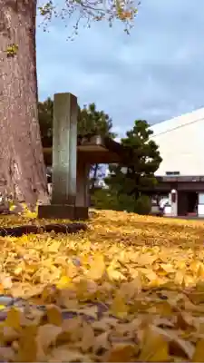 福井神社(福井県)