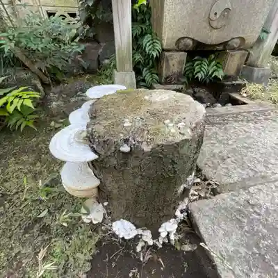 四谷於岩稲荷田宮神社のその他建物