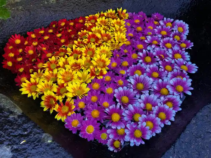 真言宗 善通寺派 薬王寺(香川県)