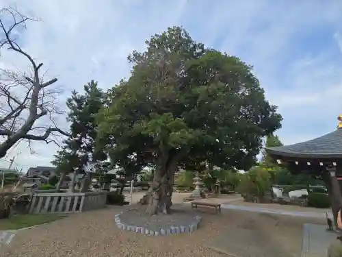 帝釈寺(大阪府)