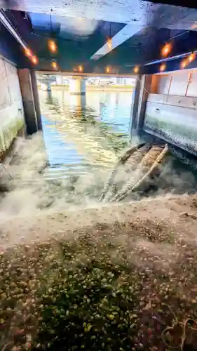 潮見　龍宮社の芸術