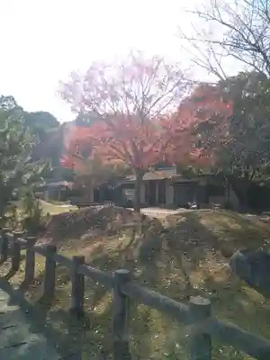 包ケ浦神社の自然