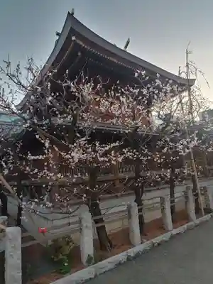 湯島天満宮(東京都)