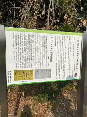 徳星寺(埼玉県)