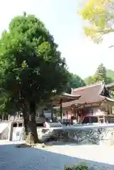 日吉大社(滋賀県)