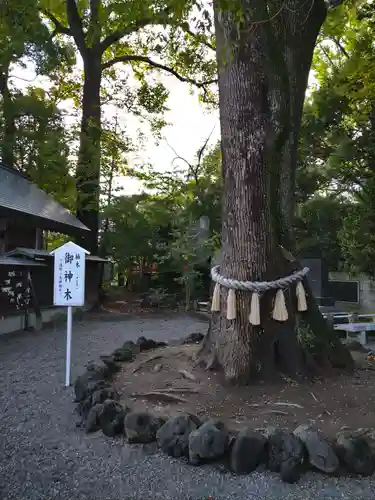 玉村八幡宮の庭園