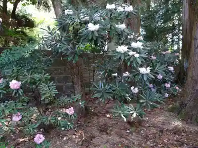城原八幡社(大分県)