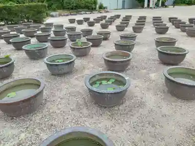 薬師寺(奈良県)