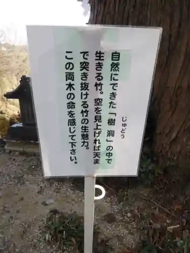 阿久津「田村神社」（郡山市阿久津町）旧社名：伊豆箱根三嶋三社(福島県)