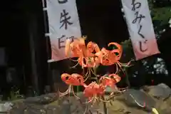 高司神社〜むすびの神の鎮まる社〜の庭園