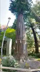 河口浅間神社(山梨県)