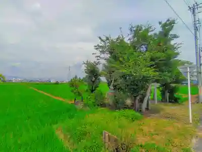 行燈之宮（賣夫神社境内社）の自然