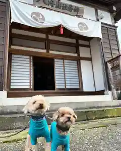 八海山坂本神社(新潟県)(2026年03月29日(日) 06時33分25秒投稿)
