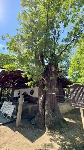 川中島古戦場八幡社(長野県)