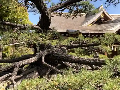 住吉神社の庭園