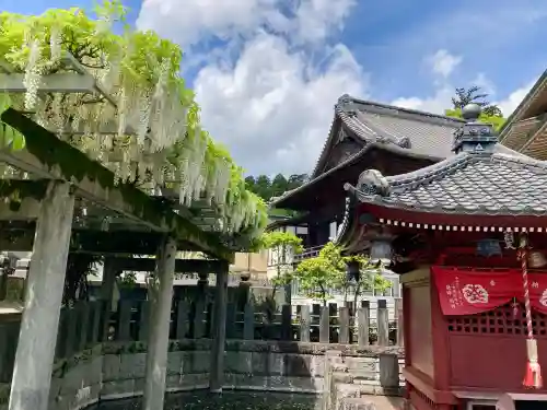 成田山新勝寺の{uncategorized: "未分類", other: "その他", undefined: "問題あり", building: "その他建物", grave: "お墓", sacred_gate: "鳥居", guardian: "狛犬", statue: "像", buddha: "仏像", history: "歴史", nature: "自然", garden: "庭園", animal: "動物", pagoda: "塔", temizu: "手水舎", mountain_gate: "山門・神門", sanctuary: "本殿・本堂", subordinate: "末社・摂社", art: "芸術", scenery: "景色", jizo: "地蔵", ema: "絵馬", goshuin: "御朱印", omikuji: "おみくじ", items: "授与品その他", amulet: "お守り", goshuincho: "御朱印帳", eats: "食事", festival: "お祭り", votive_dance: "神楽", shichigosan: "七五三参", wedding: "結婚式", experience: "体験その他", initially: "初詣", around: "周辺", anti_infection: "感染症対策"}