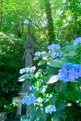 高幡不動尊　金剛寺(東京都)