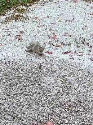 明月院(神奈川県)