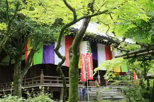 今熊野観音寺(京都府)