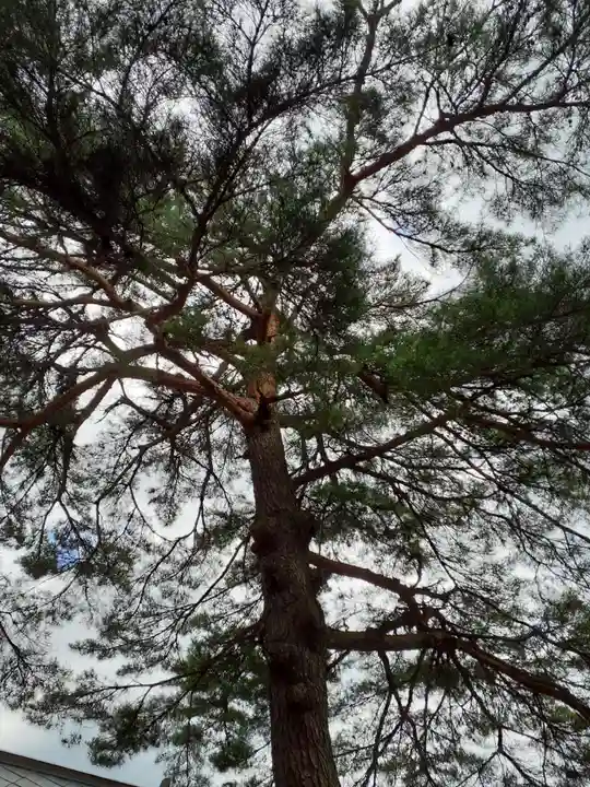 隠里寺(岩手県)