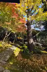 蓮華寺（洛北蓮華寺）(京都府)