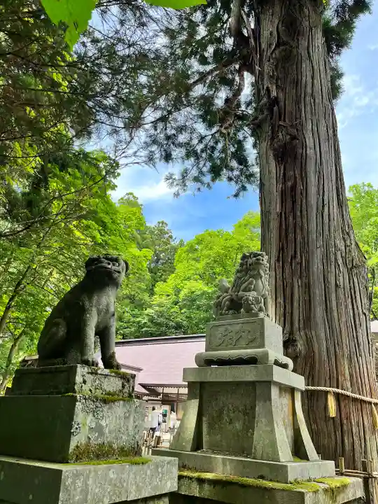 戸隠神社中社(長野県)