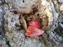 香取神社の建物その他