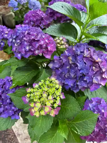 吾妻神社(群馬県)