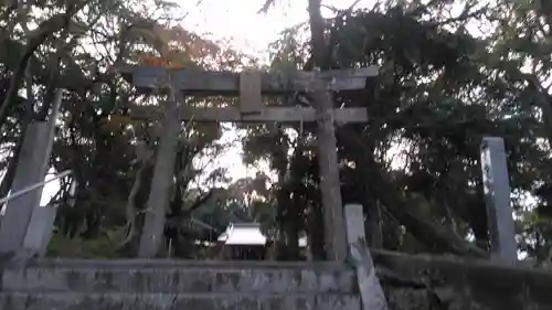 天疫神社の鳥居