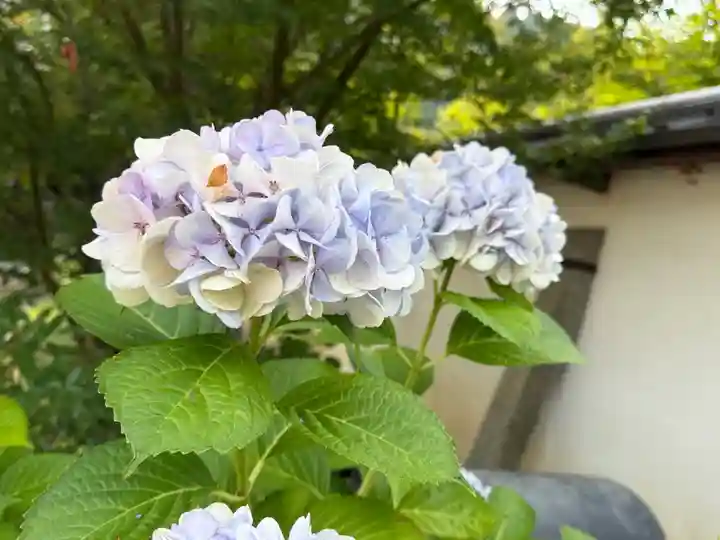 西方山極楽寺(岐阜県)