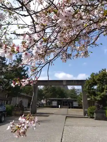 福井神社(福井県)