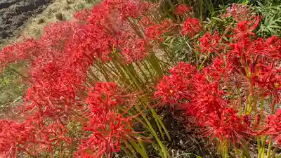 水主神社・樺井月神社・衣縫神社(京都府)