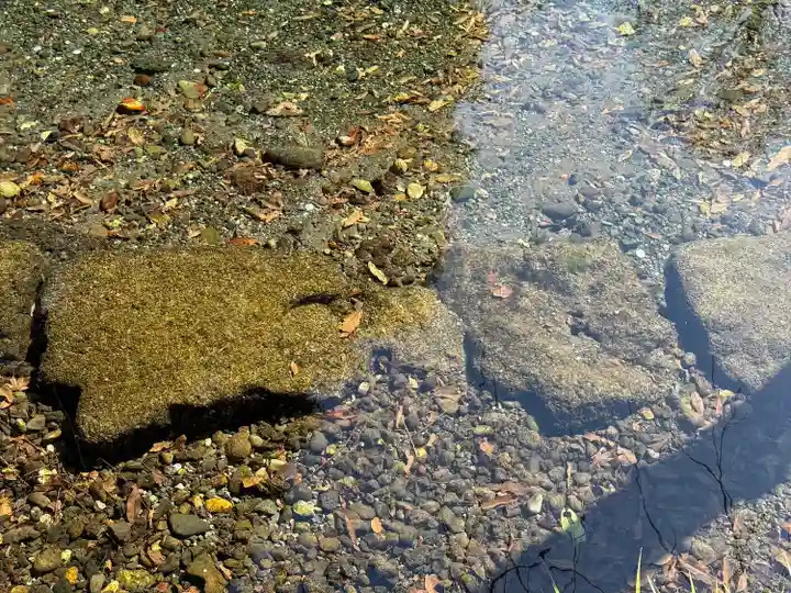 富士山本宮浅間大社(静岡県)