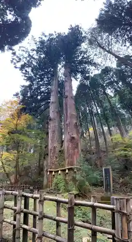 御岩神社の自然