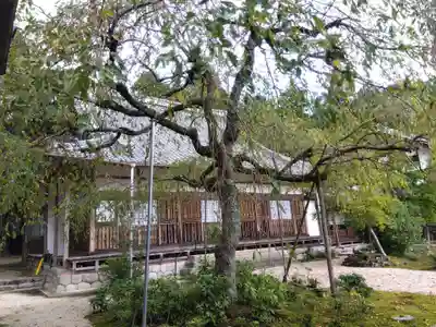 桃林寺(三重県)