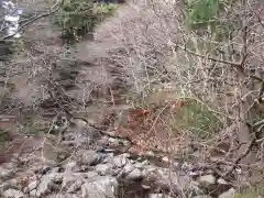 花園神社の景色