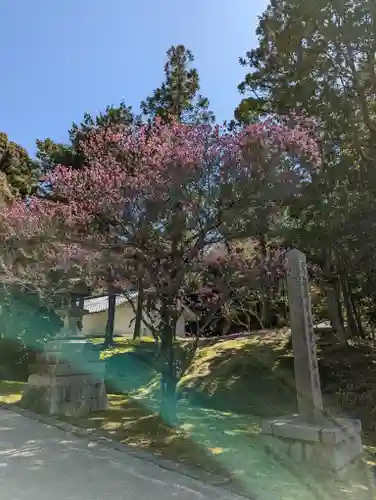 東福禅寺（東福寺）(京都府)