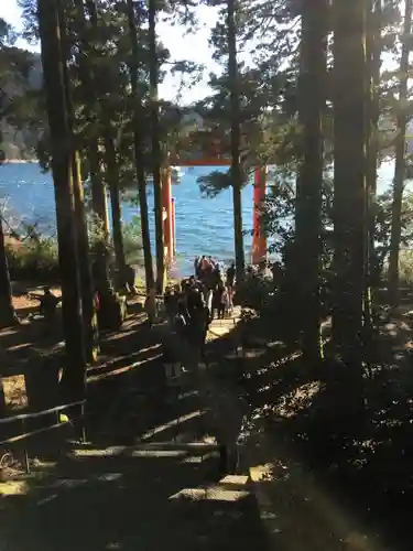 箱根神社の周辺
