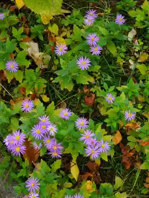 徳泉寺(宮城県)