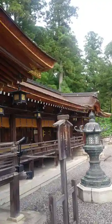 多賀大社の本殿・本堂