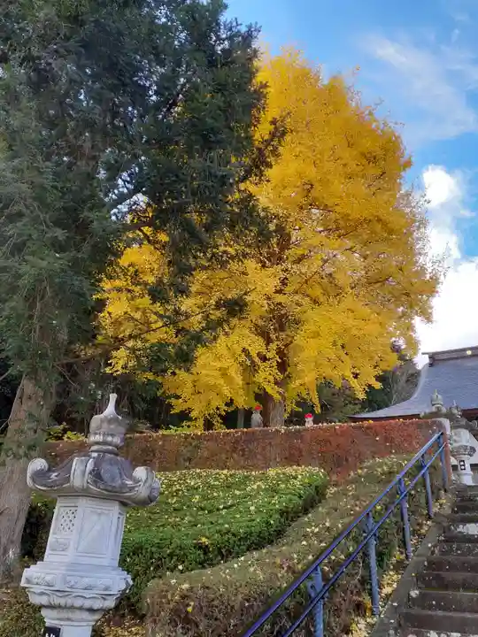 専念寺のその他建物