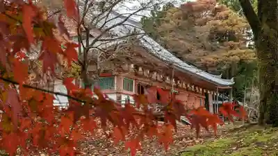 醍醐寺(京都府)