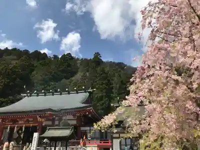 大山阿夫利神社のその他建物
