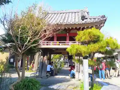 道智山 遍照院の山門・神門