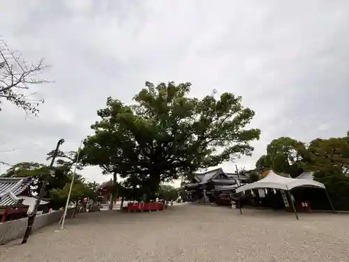百舌鳥八幡宮(大阪府)