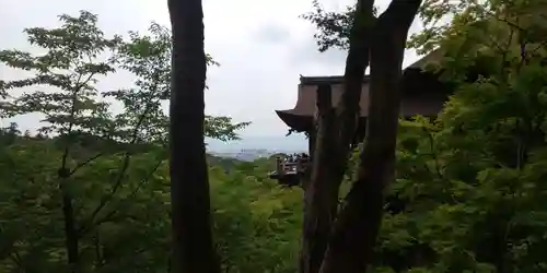 清水寺(京都府)