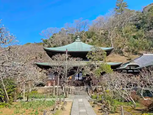 瑞泉寺の本殿・本堂